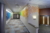 Rex Hospital Art Commission - Wall Installation